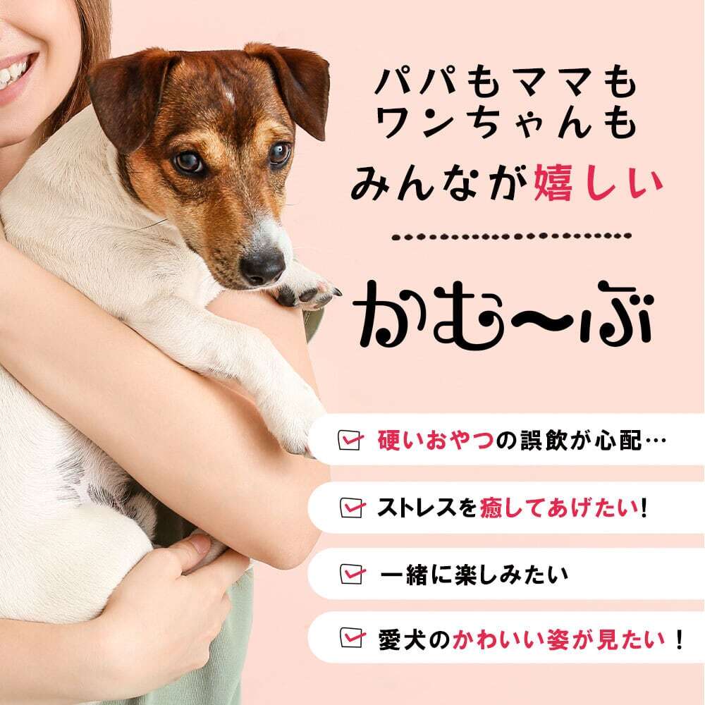 愛犬用ガムスタンド かむ~ぶ