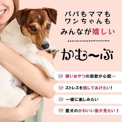 愛犬用ガムスタンド かむ~ぶ