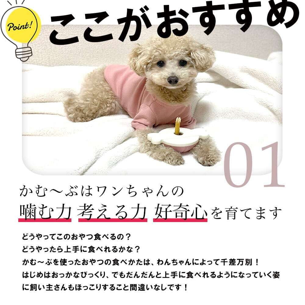 愛犬用ガムスタンド かむ~ぶ